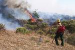 Prescribed Fire photo 9: Fire Monitoring