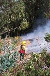 Prescribed Fire photo 8: Holding Near Eucalyptus
