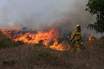 Prescribed Fire photo 5: Ignition in Grasslands