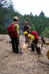 Prescribed Fire photo 3: Test Burn