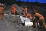 Vision Fire photo 15: Preventing Erosion