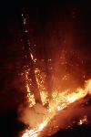 Vision Fire photo 10: Fire at Night