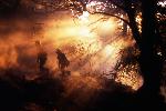 Vision Fire photo 6: Firefighters at Night