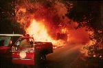 Vision Fire photo 2: Wildland-Urban Interface