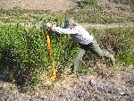 MFR photo 11: Broom Removal by Hand