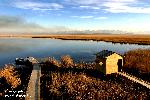 Kolkheti National Park 04: Peat bog in Imnati