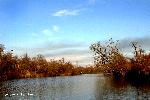 Kolkheti National Park 03: Paliastomi Lake