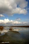 Kolkheti National Park 02: Paliastomi Lake