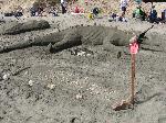 2009 Adult/Family Hon Mention Mamma Ichthyosaurus1