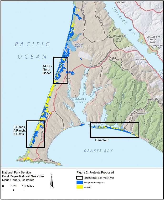 Map of the Coastal Dune Restoration Project Areas.