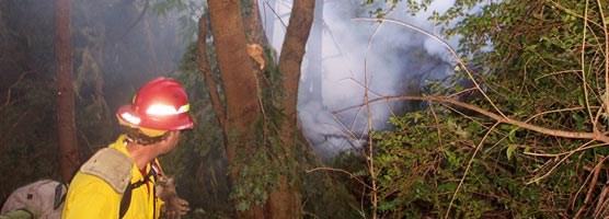 A wildland firefighter dressed in yellow with a red hardhat monitors a smoky fire in the woods.