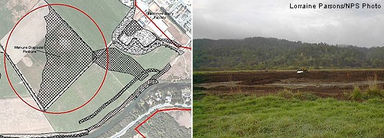 Graphic showing location of Manure Disposal Pasture in relation to Dairy Mesa and Point Reyes Station (left) and view of Manure Disposal Pasture from Dairy Mesa (right).