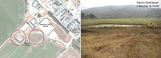 Graphic showing location of former manure ponds at Dairy Mesa (left) and picture of the southernmost of the two manure ponds being filled (right).