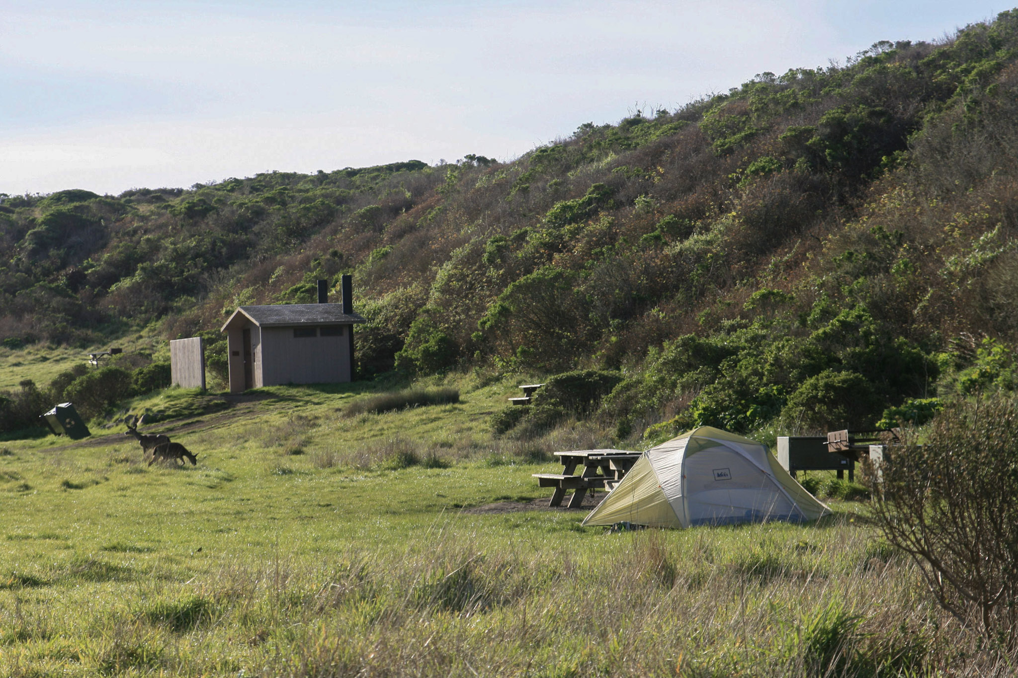A yellow and gray tent in a grassy field to the left of a shrubby ridge. Deer are grazing a bit beyond the tent on the far left. Vault toilets are in the background.