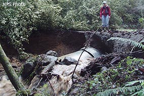 Uncovered culvert at the first creek crossing on Bear Valley Trail after the 2006 New Years flood.