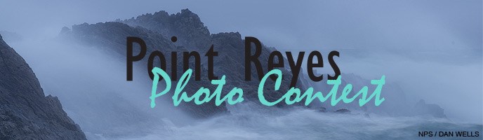 Banner for Anniversary photo contest