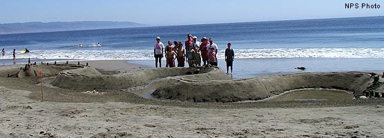 2002 Sand Sculpture Contest: Family 3rd Place: Entry #02: No River, Just Tides, by Sand Worthies