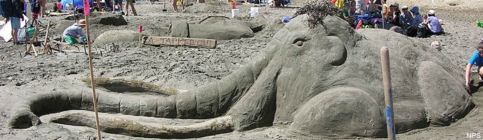 2014 Sand Sculpture Contest: Adult/Family Group People's Choice Award Winner: Entry #14: Woolly Mammoth, by the Garriott family