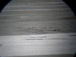 Image 0043 - disrupted mud, possible clam digging