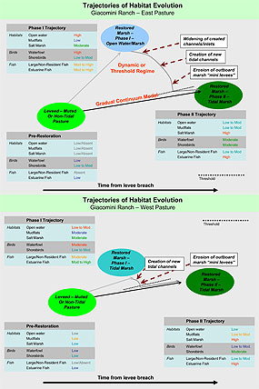 Figure 01 - Trajectories of Habitat Evolution: Giacomini Ranch - East & West Pastures. Click on this image to download full size version of this chart. (20 KB PDF)