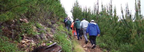 hiking through Vision Fire area