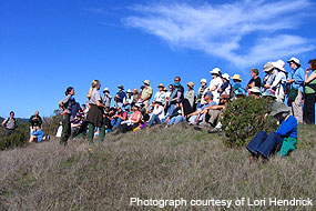 Park staff talking to dozens of hikers at the end of Tomales Bay Trail about the Giacomini Wetland Restoration Project.