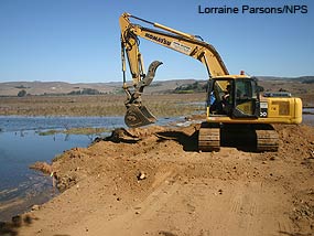 Excavator working near Fish Hatchery Creek in the West Pasture of the Giacomini Wetlands. Excavator working near Fish Hatchery Creek in the West Pasture of the Giacomini Wetlands.