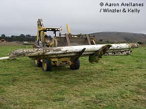Removing Infrastructure at Giacomini Restoration site