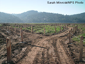 Realigned Lagunitas Creek spur trail.
