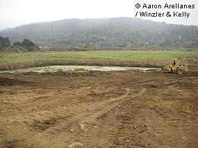 Giacomini Wetland Restoration Project: Grading of Manure Ponds