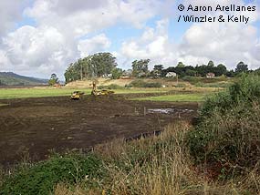 Giacomini Wetland Restoration Project: Creating freshwater marsh in the Tomasini Triangle