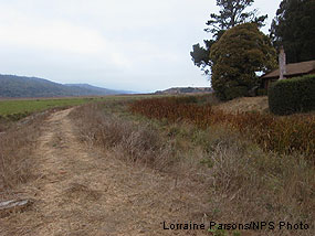 Leveed section of Tomasini Creek near the Giacomini Hunt Lodge.