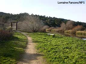 White House Pool Trail