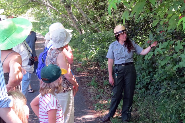Visitors on the left look on as a female National Park Ranger in uniform gestures toward some red-berried plants.