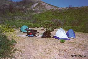 A campsite containing a couple small tents, a picnic table, and a food storage locker surrounded by shrubs.