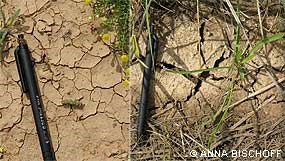 Visible effects of increased carbon in soil (before a restoration project increased organic matter content in the soil shown on the left and after shown on the right). © Anna Bischoff.