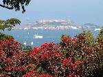 Alcatraz from Interfaith Chapel