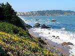 Coastal bluffs