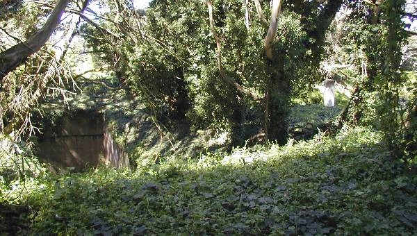 Battery Dynamite today