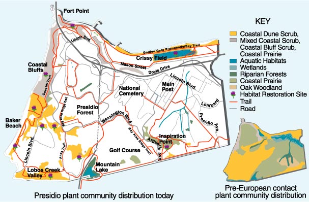 Plant Distribution