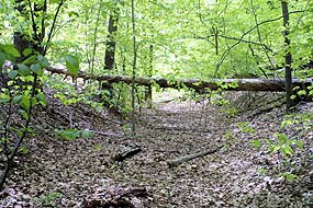The historic path.