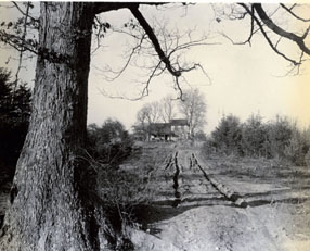 the ferguson farm