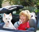 Cheryl of Fetch! Pet Care