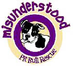 Misunderstood logo