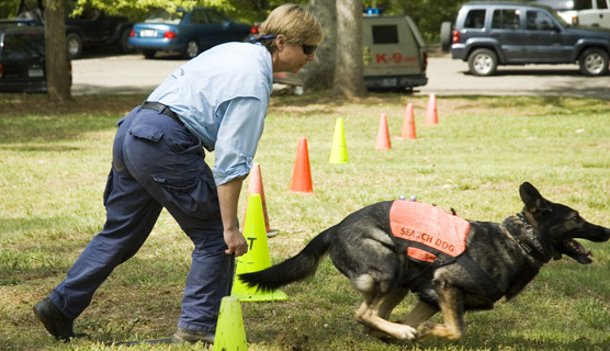 prince william sound earthquake pictures homes for sale prince william. prince william county csb prince
