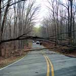 storm damage