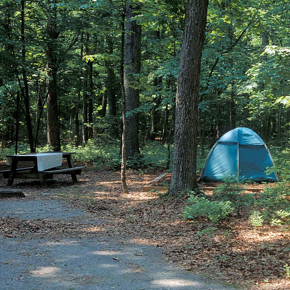 tent
