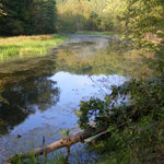 chopawamsic creek