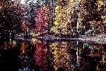 Breckenridge Fall Colors