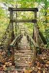 Laurel Loop Brigde